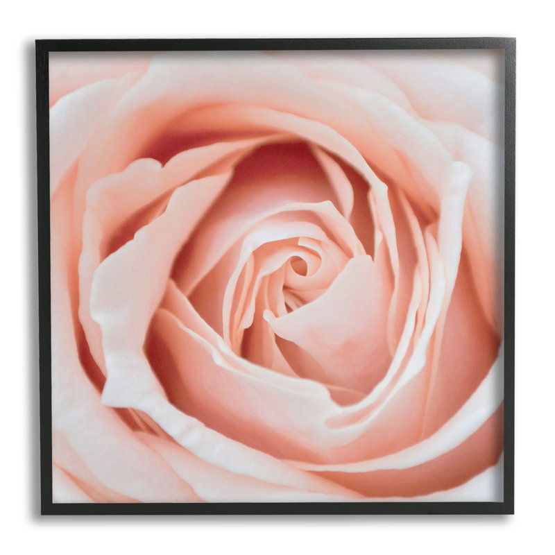 «Pink Close up Rose» par LSR Design Studio - impression d'un cadre photo sur bois, H 12 po x l 12 po x P 1,5 po