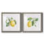 Lemon Fresh I - ensemble de 2 cadres photo-1747626560-1747626563