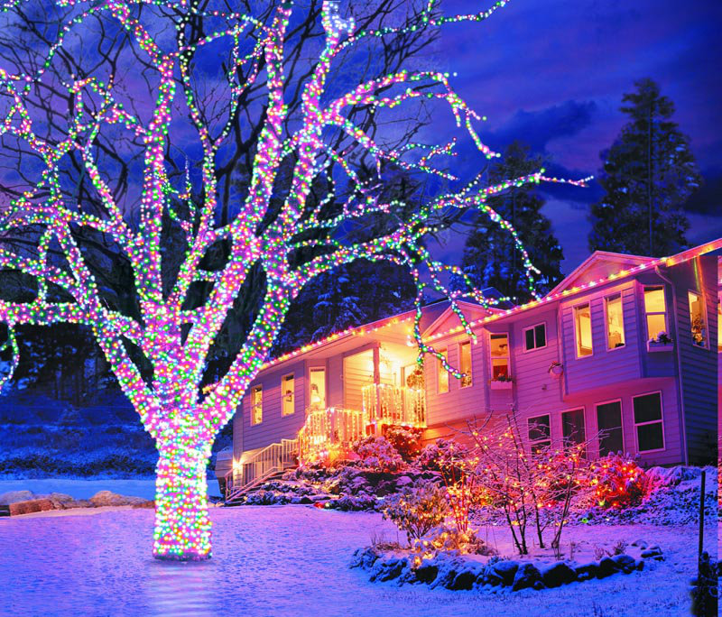 1000cm Indoor / Outdoor String Lights, Multicoloured