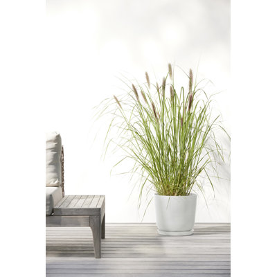 Ecopots Oslo Indoor/Outdoor Modern Recycled Plastic Flower Pot Planter