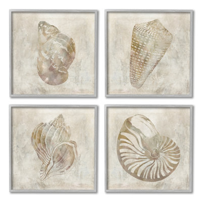 " Vintage Nautilus Seashells Soft Brown Patterned Aquatic Animals " 4 Piece Art Graphic Art Print