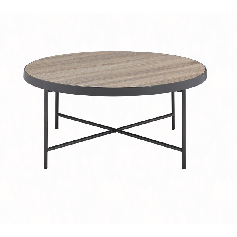 Bage Metal Finish Coffee Table