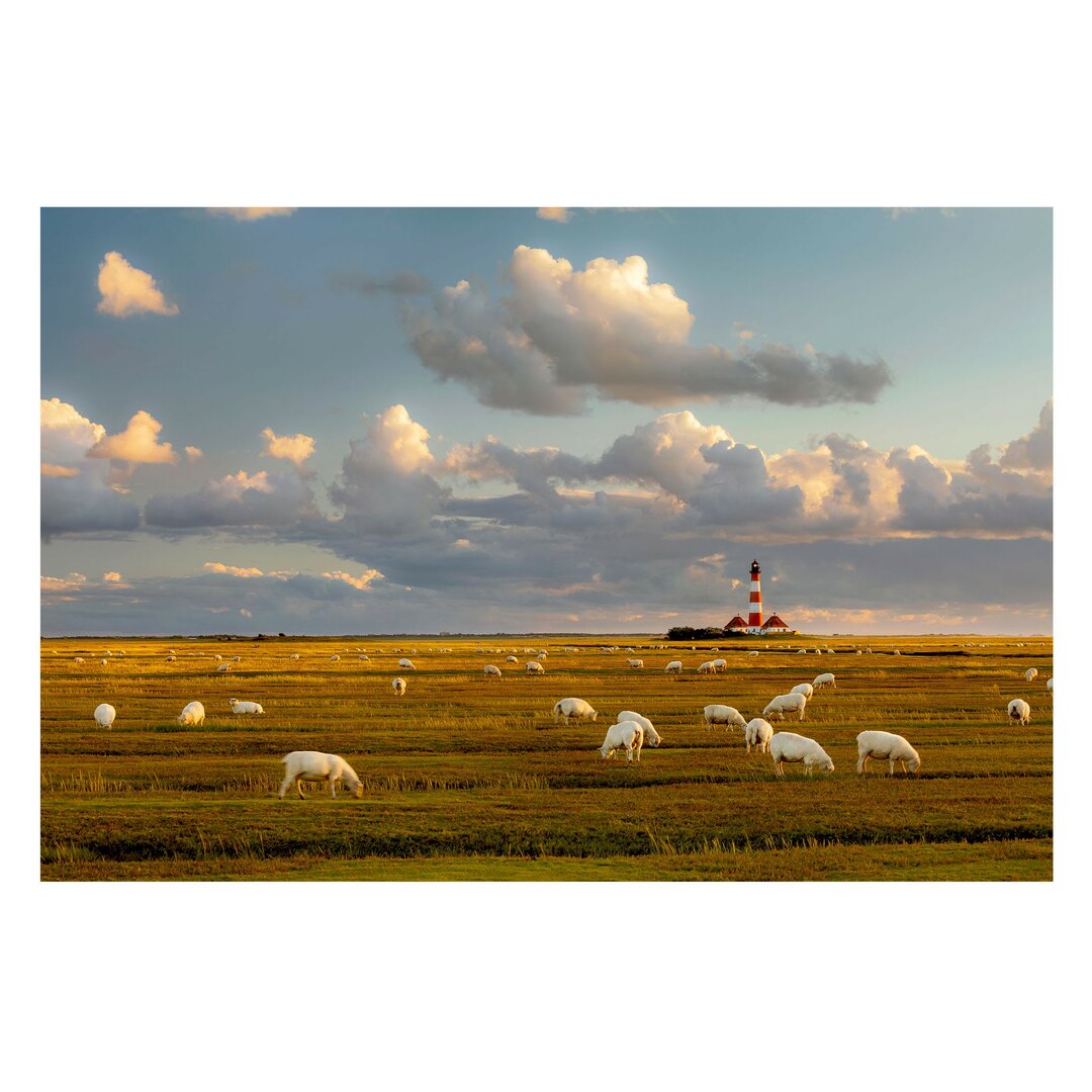 Strukturierte Fototapete Leuchtturm an der Nordsee mit einer Schafherde