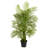 66'' Faux Palm Tree in Planter