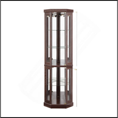 Vitrine gracieuse éclairée pour le salon, mettant en valeur des trésors avec style