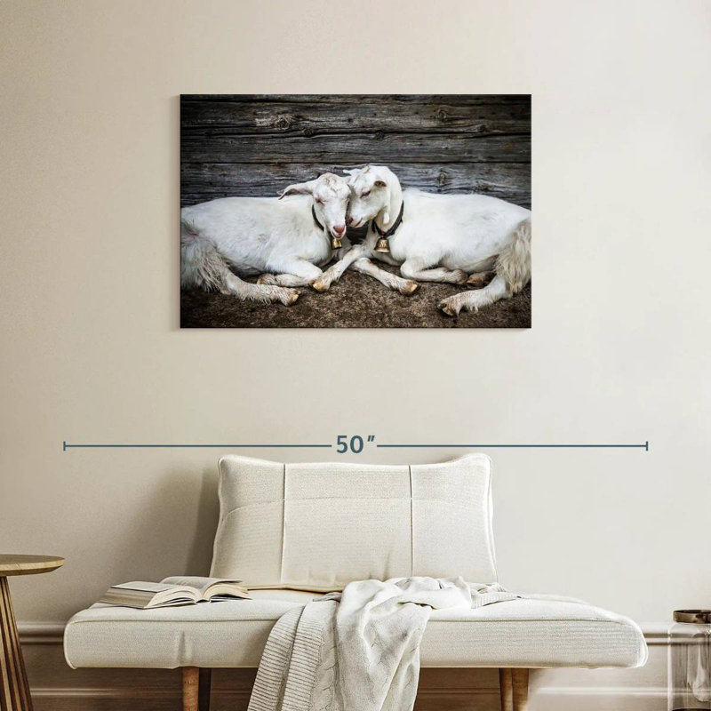 Brampt Goat Love, 24" H x 36" W