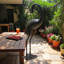 Grue en aluminium brillant d'extérieur 39 po Sunny, Sunny