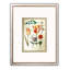 Fleurs rétro - ensemble de 4 peintures
