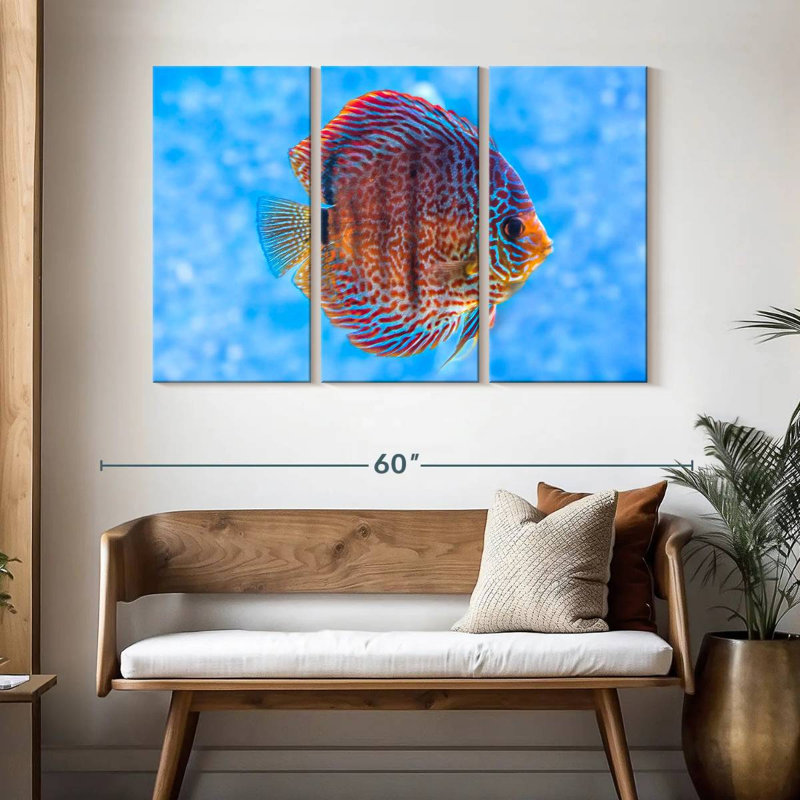 Brampt Freshwater Discus Fish, 32" H x 50" W