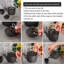 Ebern Designs Rheese 900ml Teapot Set