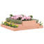 Raymund Wood Raised Garden Bed