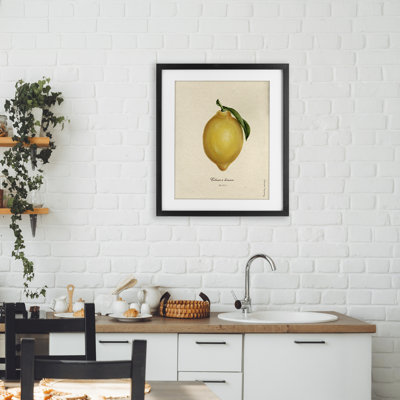 «Lemon Fruit Portrait», reproduction encadrée sous verre, conception de Danielle Murray