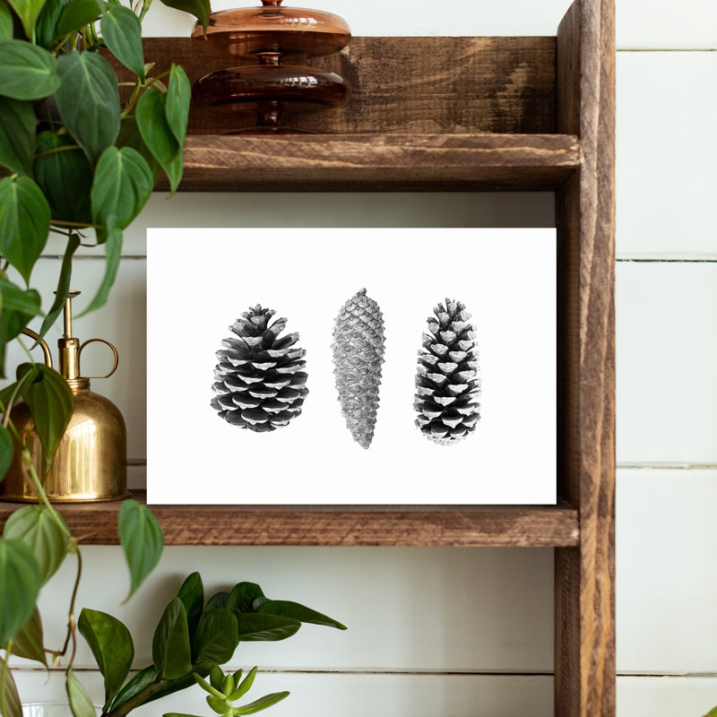 «Pine Cone Study», art mural contemporain abstrait, H 12 po x l 18 po