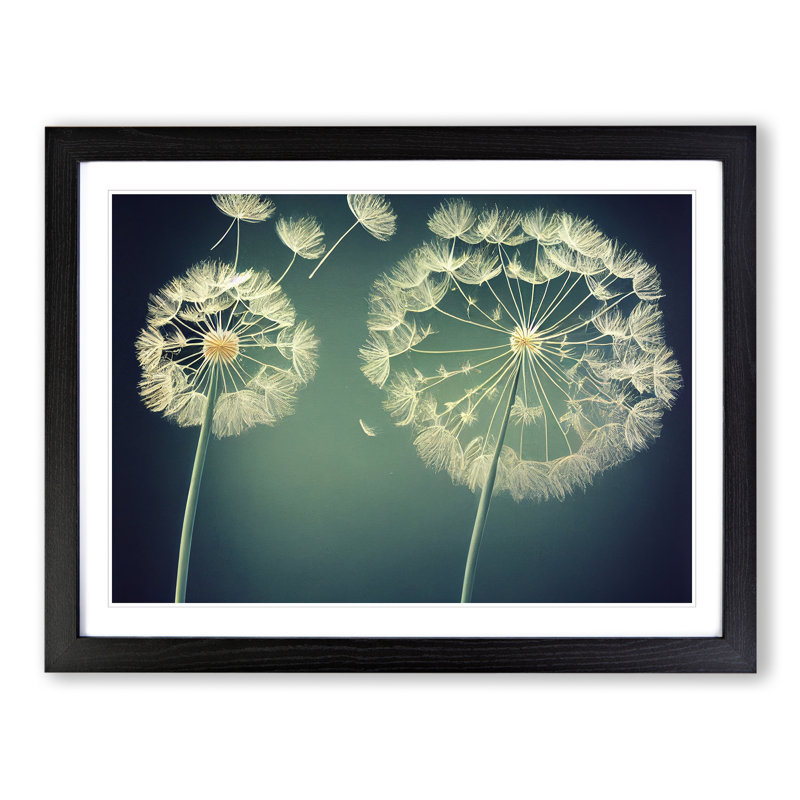 Royal Dandelion Flowers 1 Piece Single Picture Frame Wall Art, 25cm H x 34cm W x 2cm D, Black Framed