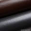 Lizard Wallpaper-22306722