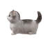 Animals Weather Resistant Polyresin Garden Statue-1696497334