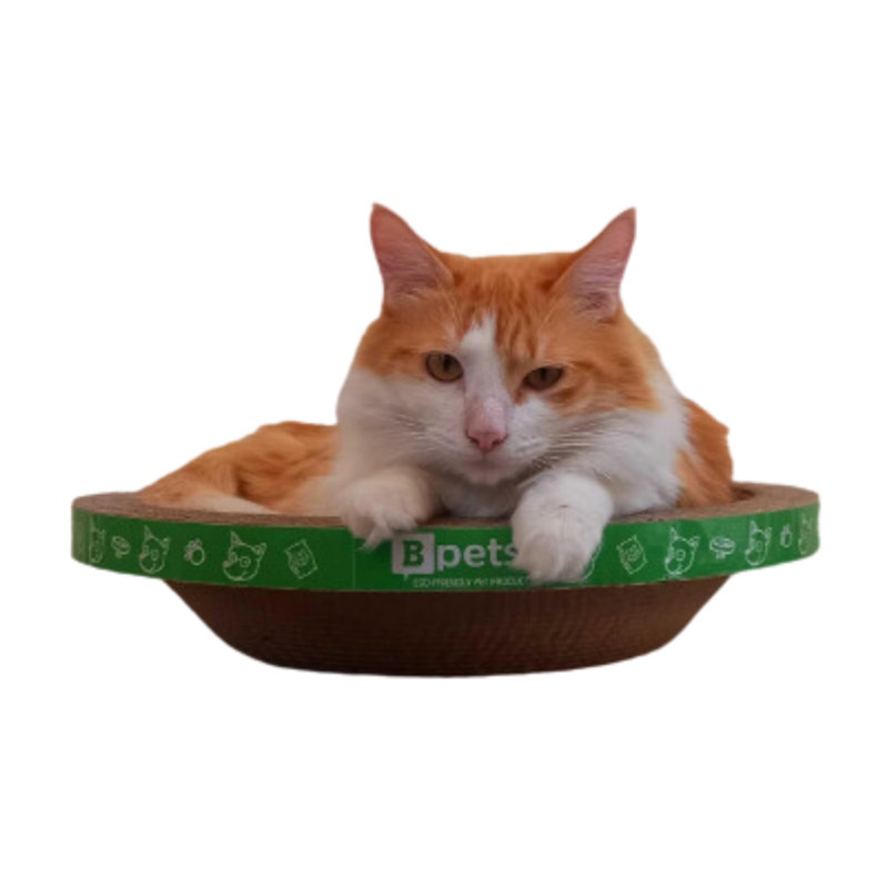 Round Brown Cardboard Cat Scratching Pad