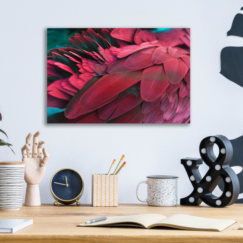  «Feather» par Photoinc Studio, art mural en verre acrylique, 24 po x 16 po, H 12 po x l 16 po x P 0,13 po