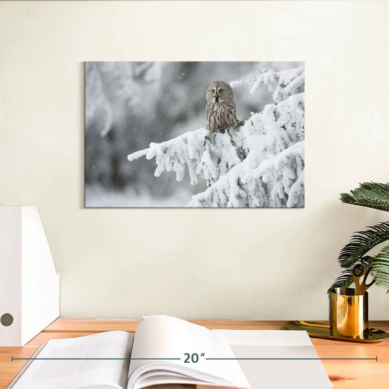 Brampt Owl In Snowy Woods, 8" H x 12" W