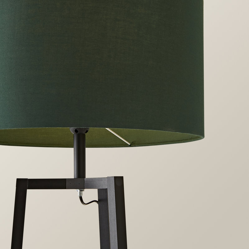 Aidrian 155cm Tripod Floor Lamp, No, Black, Green