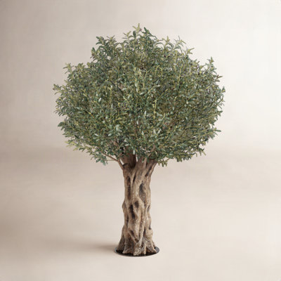 Adcock 96" Olive Tree