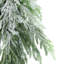 Frosted Norfolk Pine Teardrop Swag