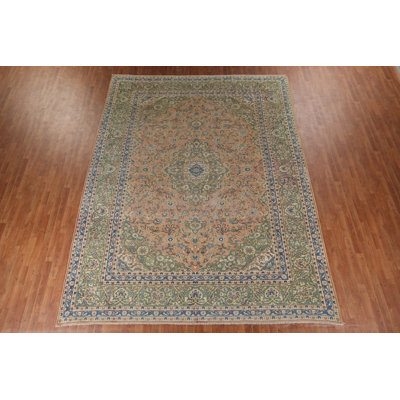 Traditional   Area Rug 10x13