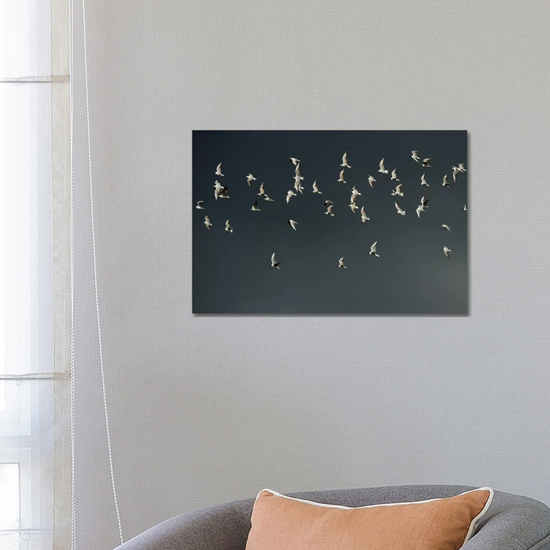 «The Swarm» par Elmar Weiss - photographie sur toile tendue, H 18 po x l 26 po x P 1,5 po
