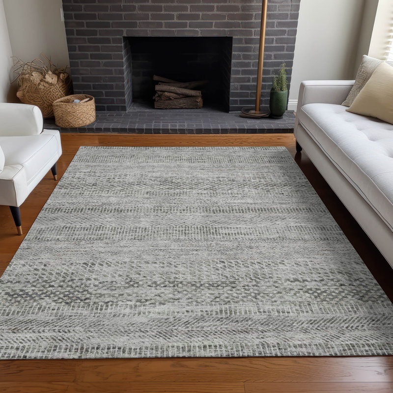 Machine Washable Indoor/Outdoor Claudian ACN1634 Gray Rug, Rectangle 8' x 10'