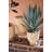  Multi-Size Cane Storage Baskets Rustic, Handwoven Design Set of 3 - 16"H