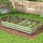 Boîte à fleurs rectangulaire surélevée pour jardin à légumes