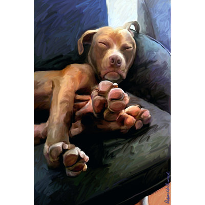 Super Toes - Wrapped Canvas Painting