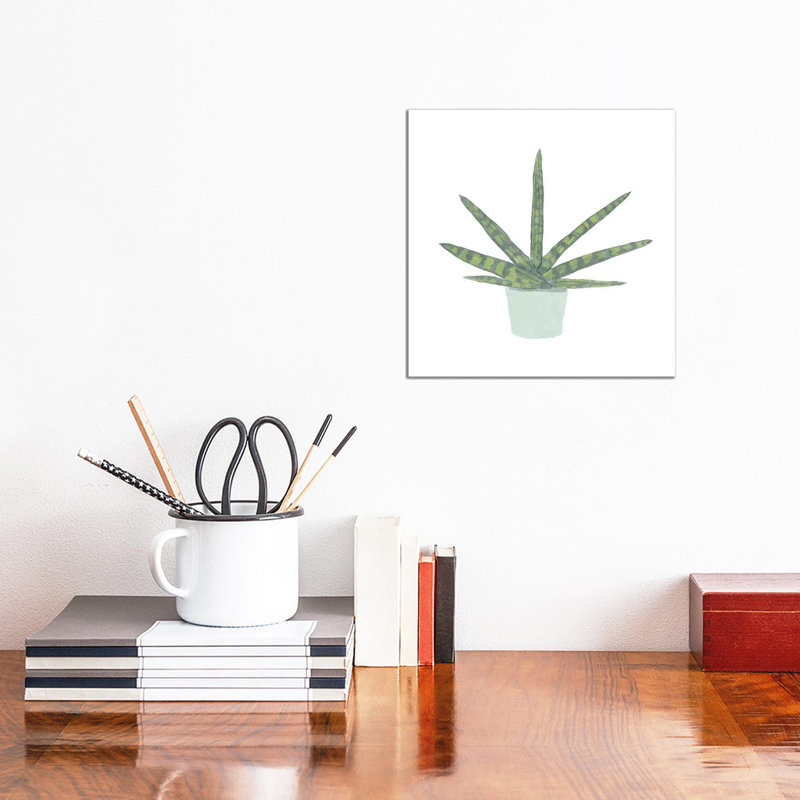 Snake Plant V by Bannarot - Wrapped Canvas Gallery-Wrapped Canvas Giclée, 30.48 cm H x 30.48 cm W