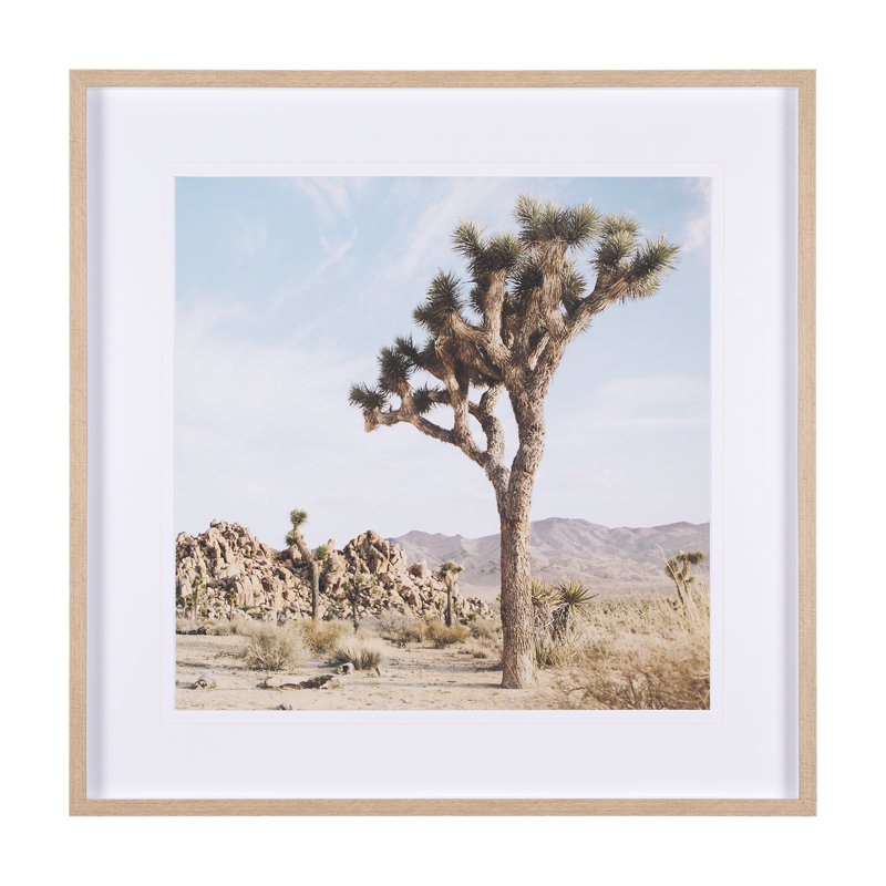 Joshua Tree 3 par THE Studio a, reproduction d'art encadrée sous verre, Joshua Tree 3
