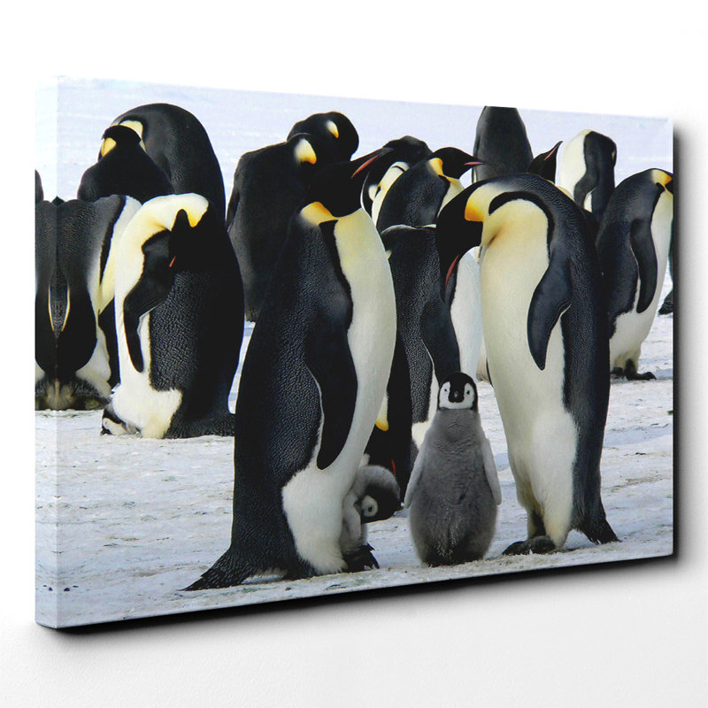 Wrapped Canvas Print, 40cm H x 60cm W