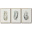 Oysters On The Bay I, ensemble de 3 toiles encadrées sur toile-97709202-97709209