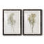 «Farmhouse Pressed Flower I», ensemble de 2 impressions-1472801501-1472801472