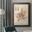 Coastal Relic III - reproduction d'art sur toile encadrée-73982520