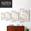 Butterfly Type I Framed Print - Solid Wood