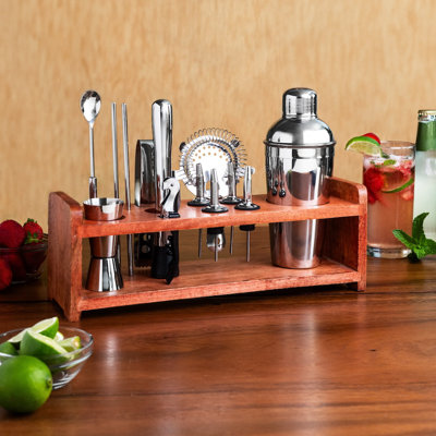 14 Piece Mixology Bar Set Stainless Steel Cocktail Cocktail Shaker Set with Wood Stand