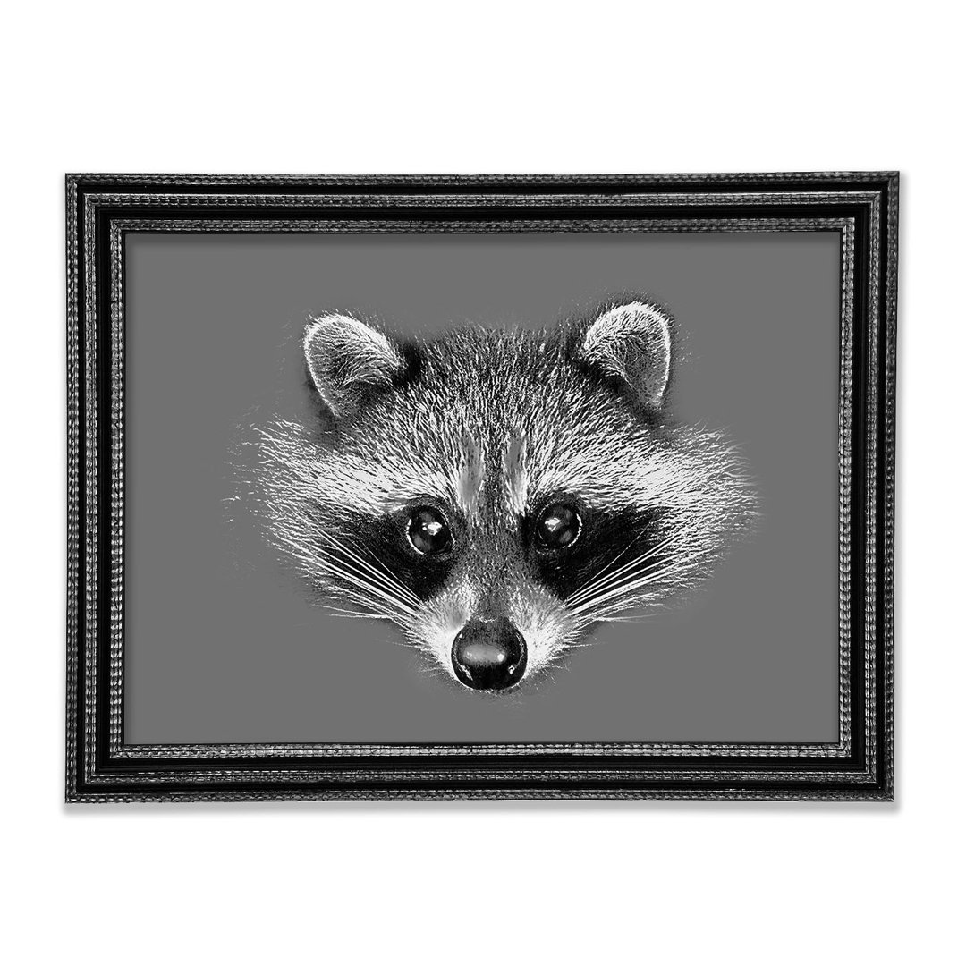 Raccoon On Grey - Einzelnes Bild auf Leinwandbild gerahmt