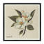 White Blossom II Print-1619944090