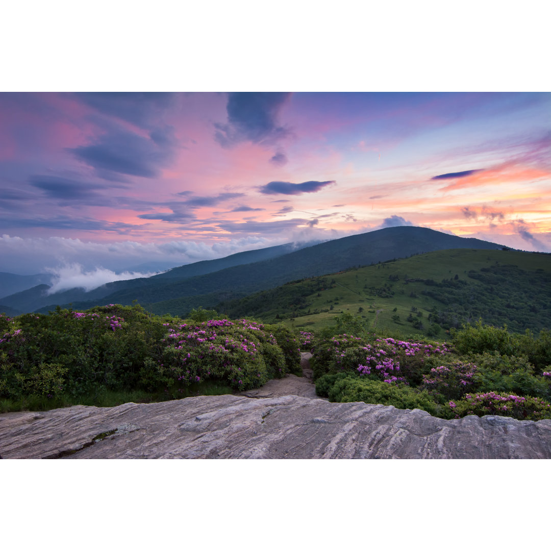 Appalachian Trail - Leinwandfoto