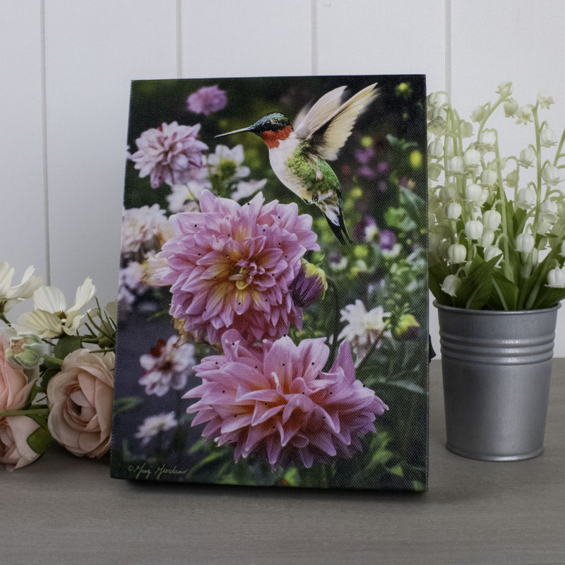 Colibri et pivoine avec toile 8 x 6