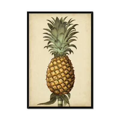 Brookshaw Antique Pineapple I by George Brookshaw - Painting