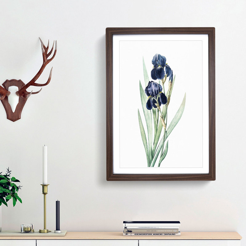 German Iris Flowers by Pierre-Joseph Redoute - Picture Frame Painting Print, 48cm H x 36cm W x 2cm D, Walnut Framed