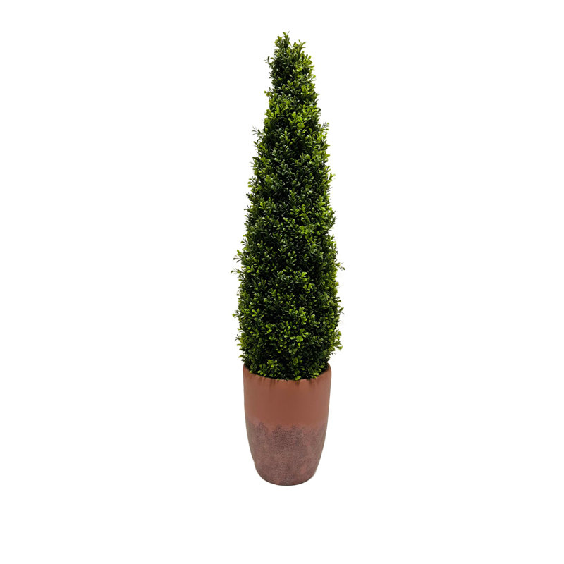 Topiaire conique en buis avec protection UV dans un pot en terre cuite H 48 po, H 48 po x l 11 po x P 11 po