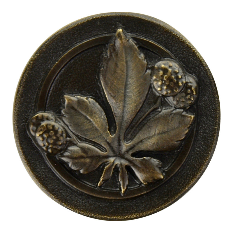 Horse Chestnut 1.5" Diameter Mushroom Knob, Dark Brass