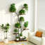 Plant Stand