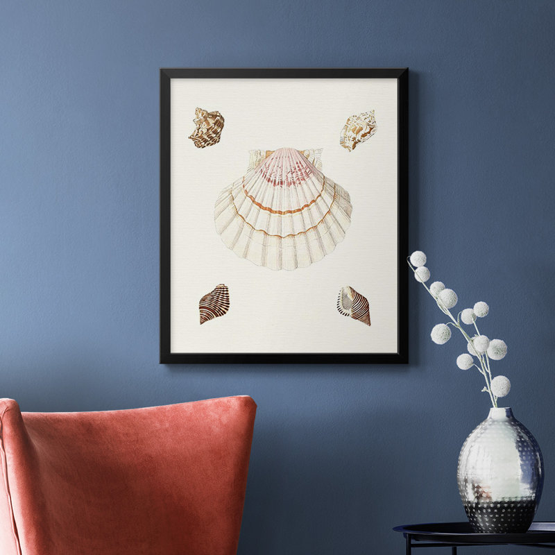 Pastel Knorr Shells IV, toile encadrée de qualité supérieure - prête à être accrochée, Noir, H 24 po x l 20 po